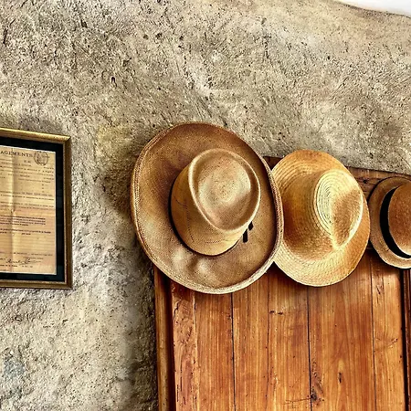 Maison Marie Oda ve Kahvaltı Lagarde (Ariege)