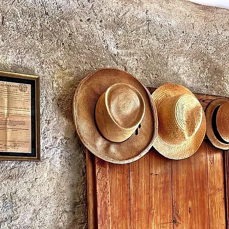 Maison Marie Bed & Breakfast